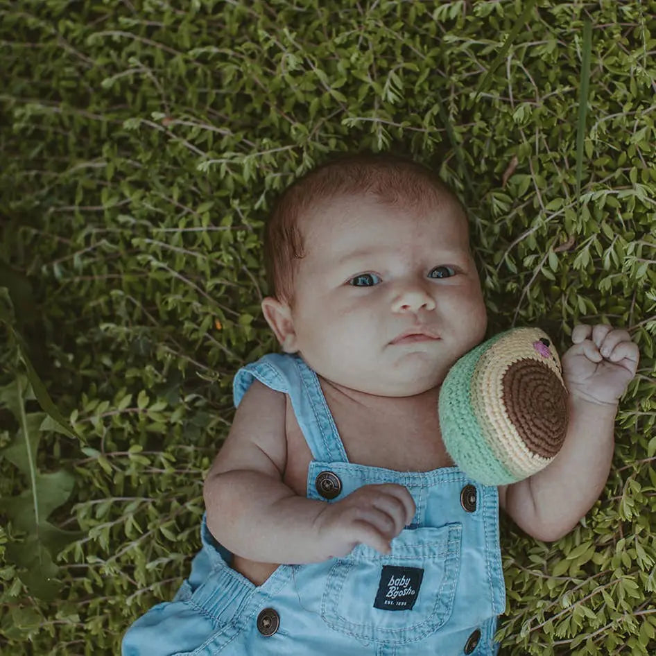 Pretend Play Food Rattle - Avocado Pebble