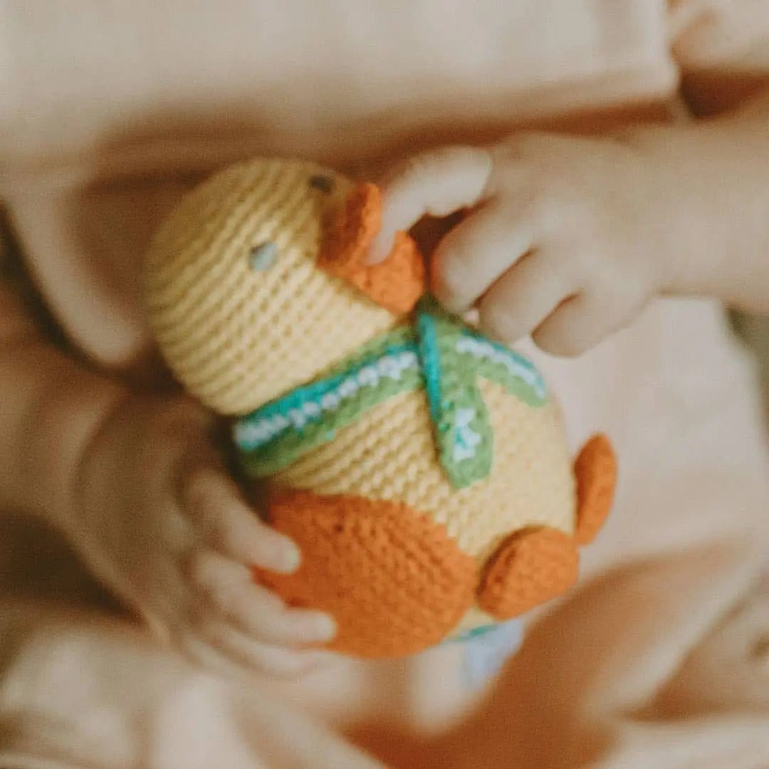 The Baby Blanket Store Bundle Duck Mommy & Me Baby Blanket & Velvety Yellow Duck Bundle with Gentle Rattle | Organic Cotton