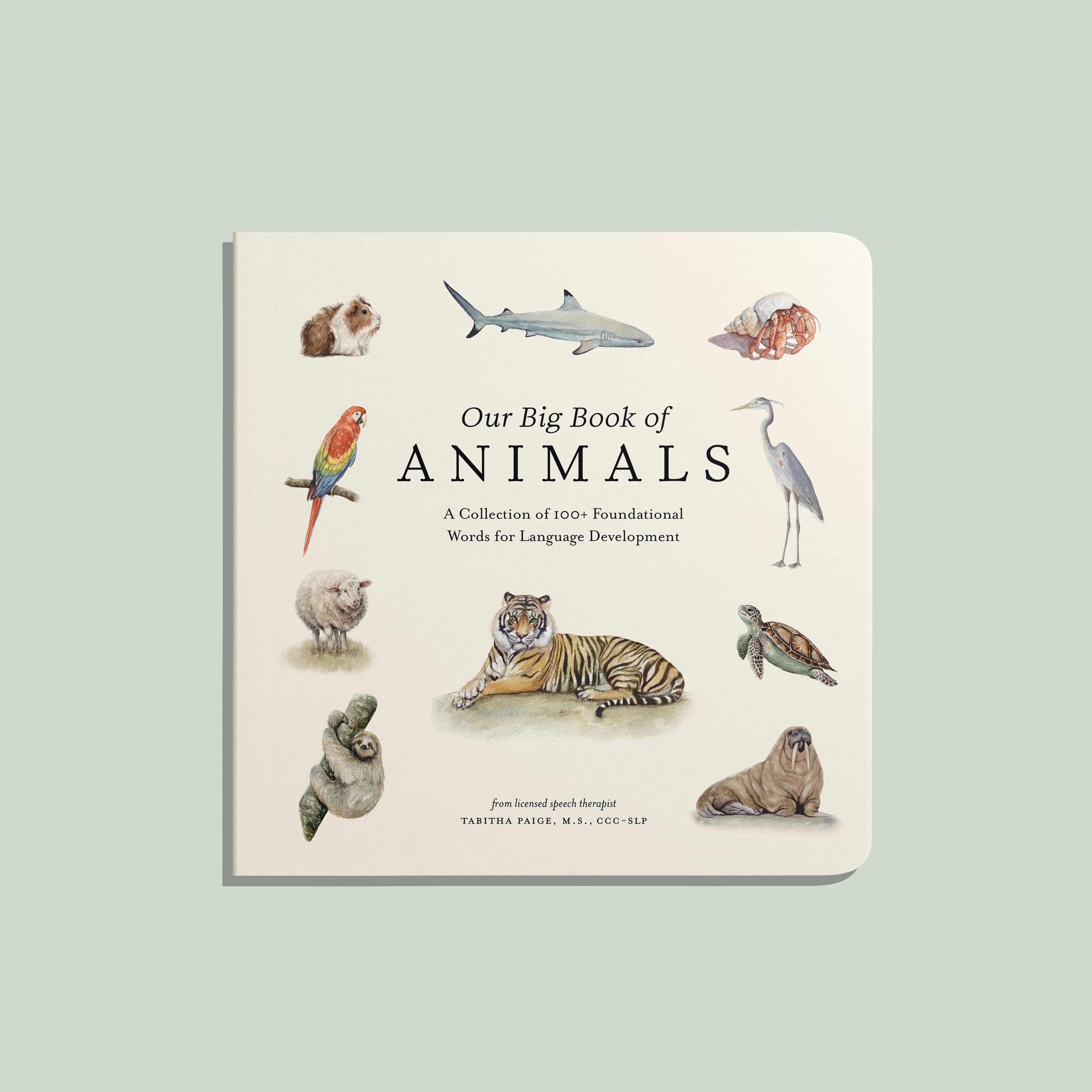 Paige Tate & Co. Our Big Book of Animals (Board Book)