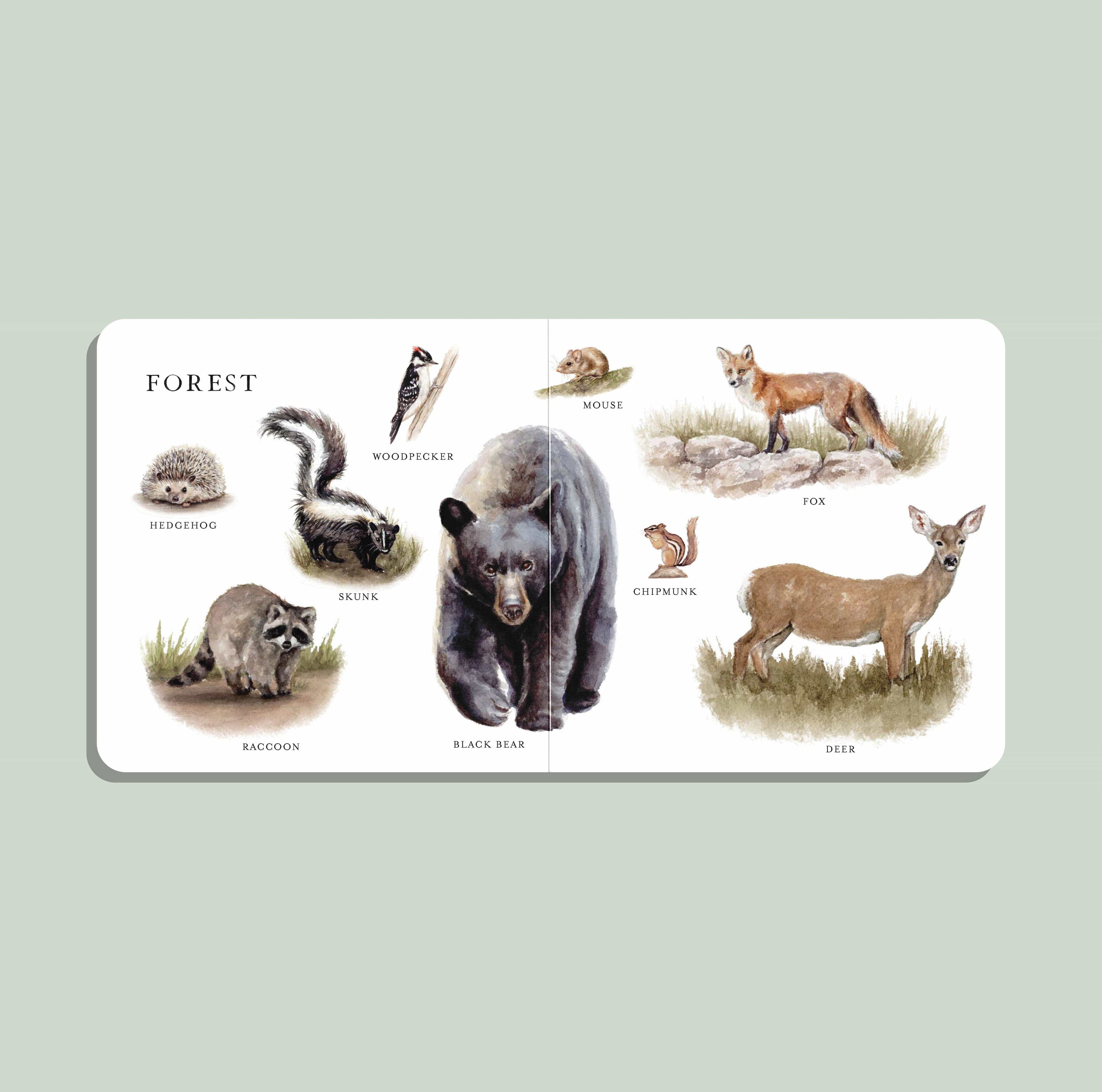 Paige Tate & Co. Our Big Book of Animals (Board Book)