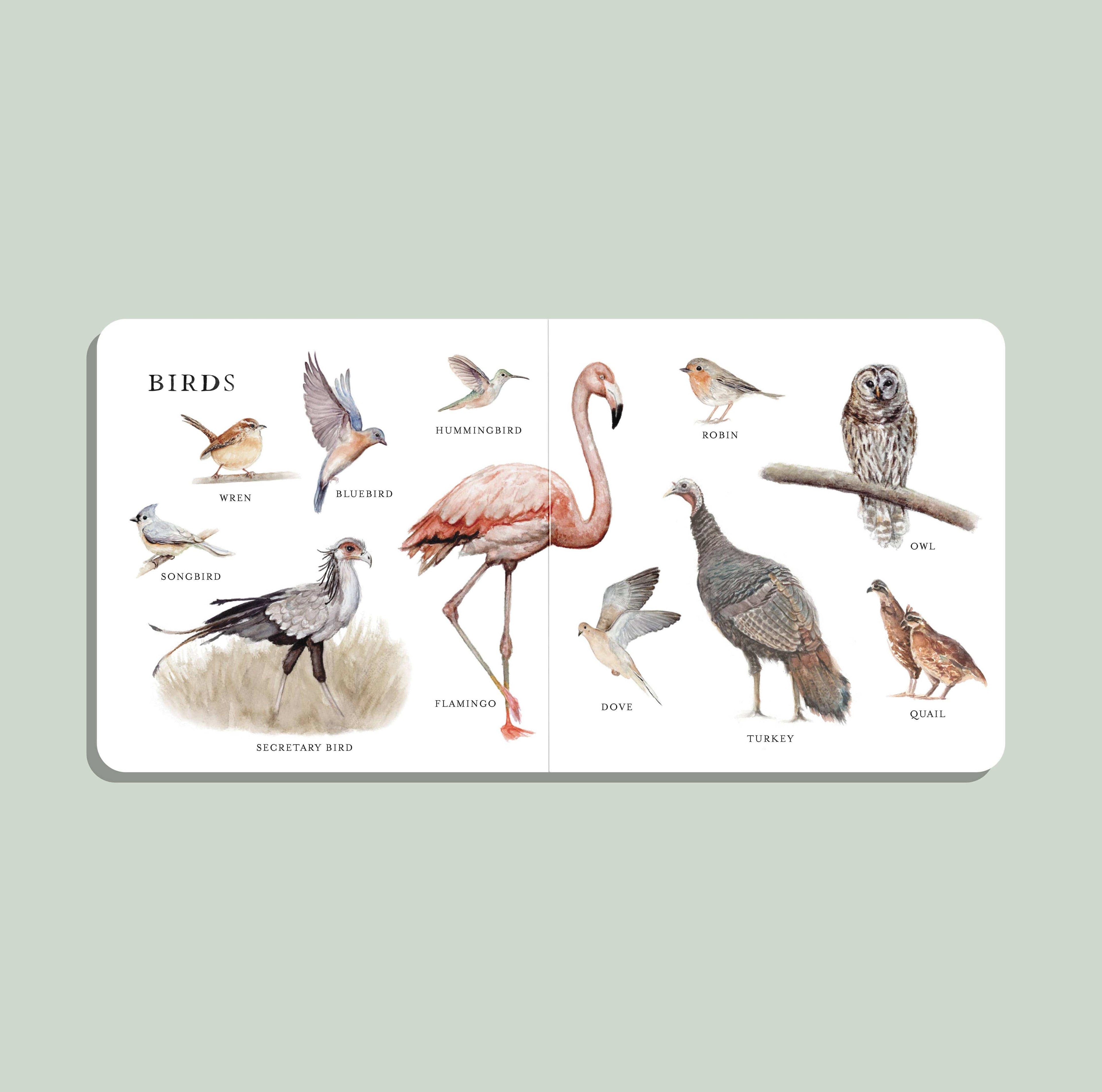 Paige Tate & Co. Our Big Book of Animals (Board Book)