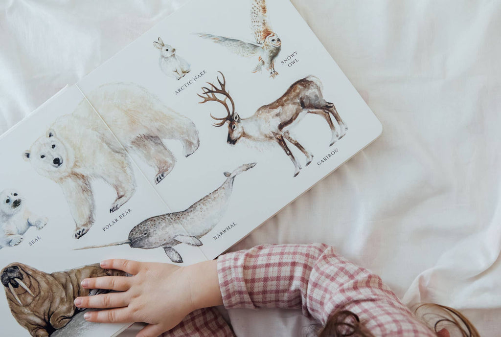 Paige Tate & Co. Our Big Book of Animals (Board Book)