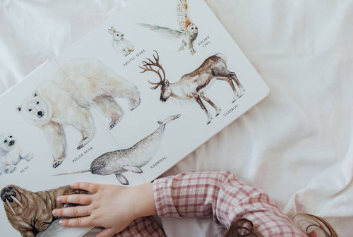 Paige Tate & Co. Our Big Book of Animals (Board Book)