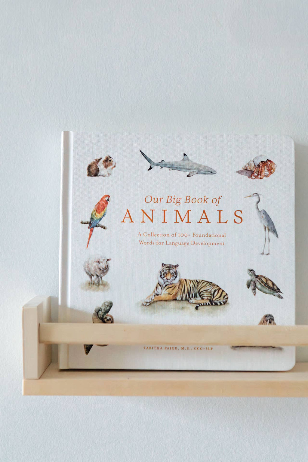 Paige Tate & Co. Our Big Book of Animals (Board Book)