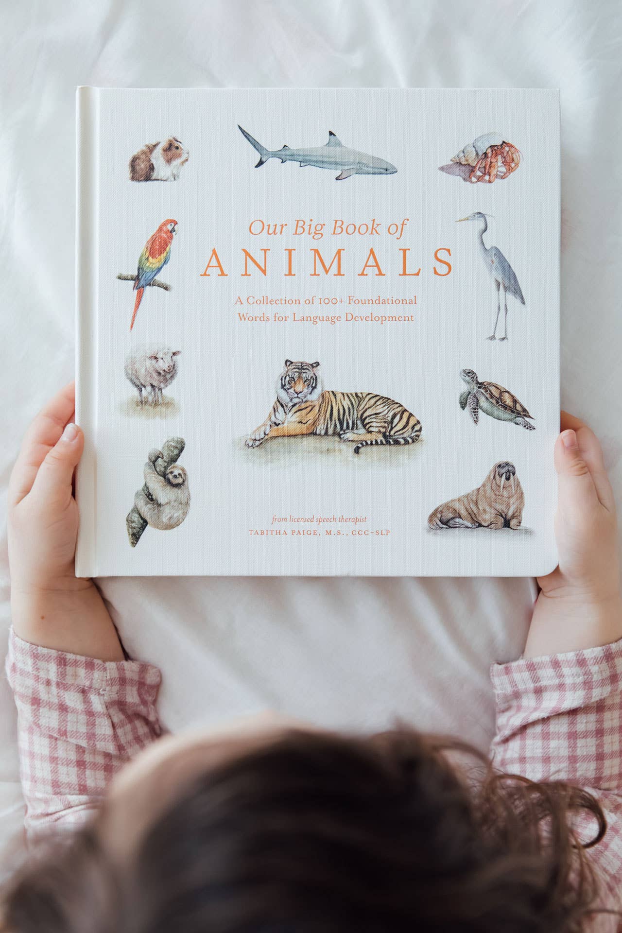 Paige Tate & Co. Our Big Book of Animals (Board Book)