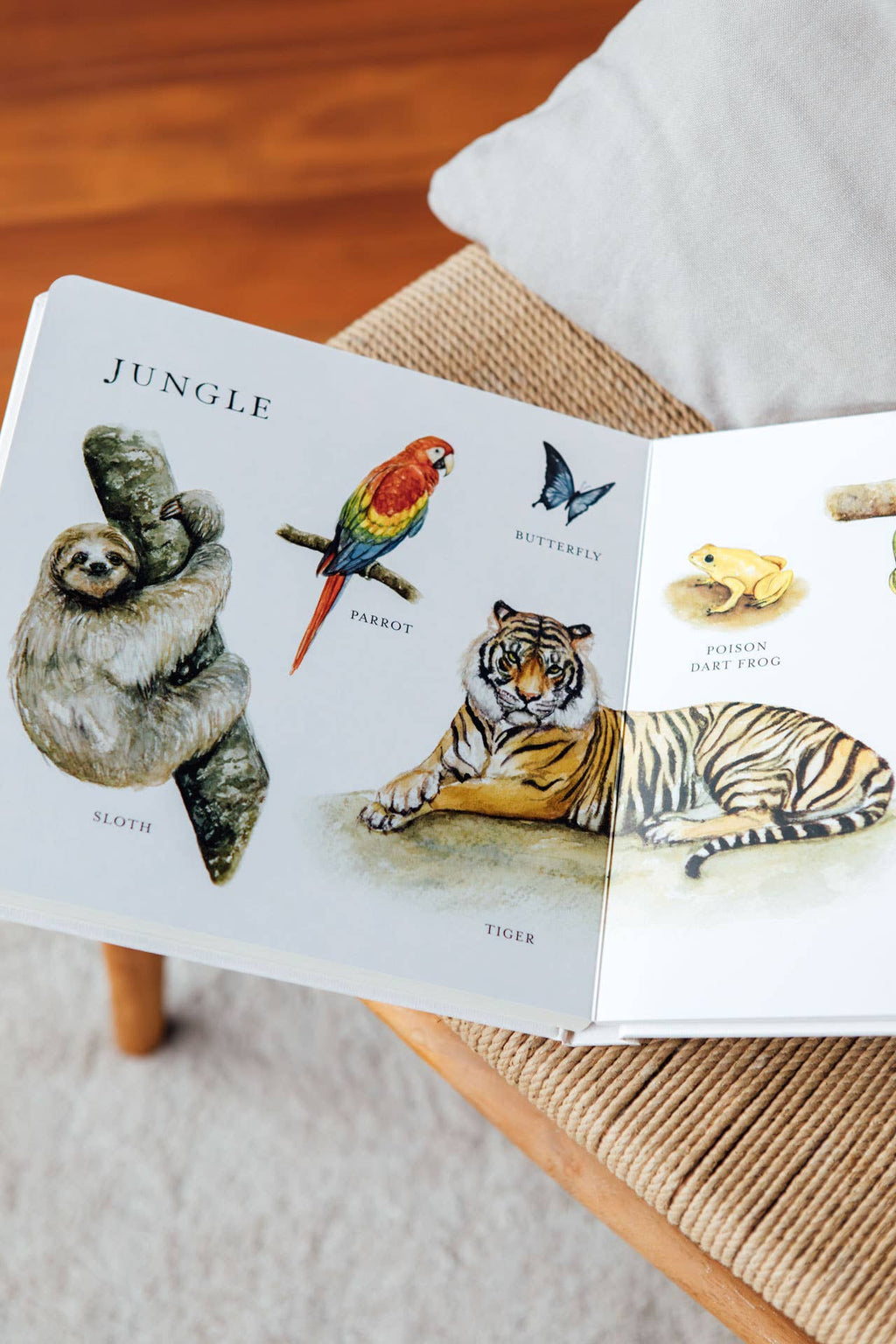 Paige Tate & Co. Our Big Book of Animals (Board Book)