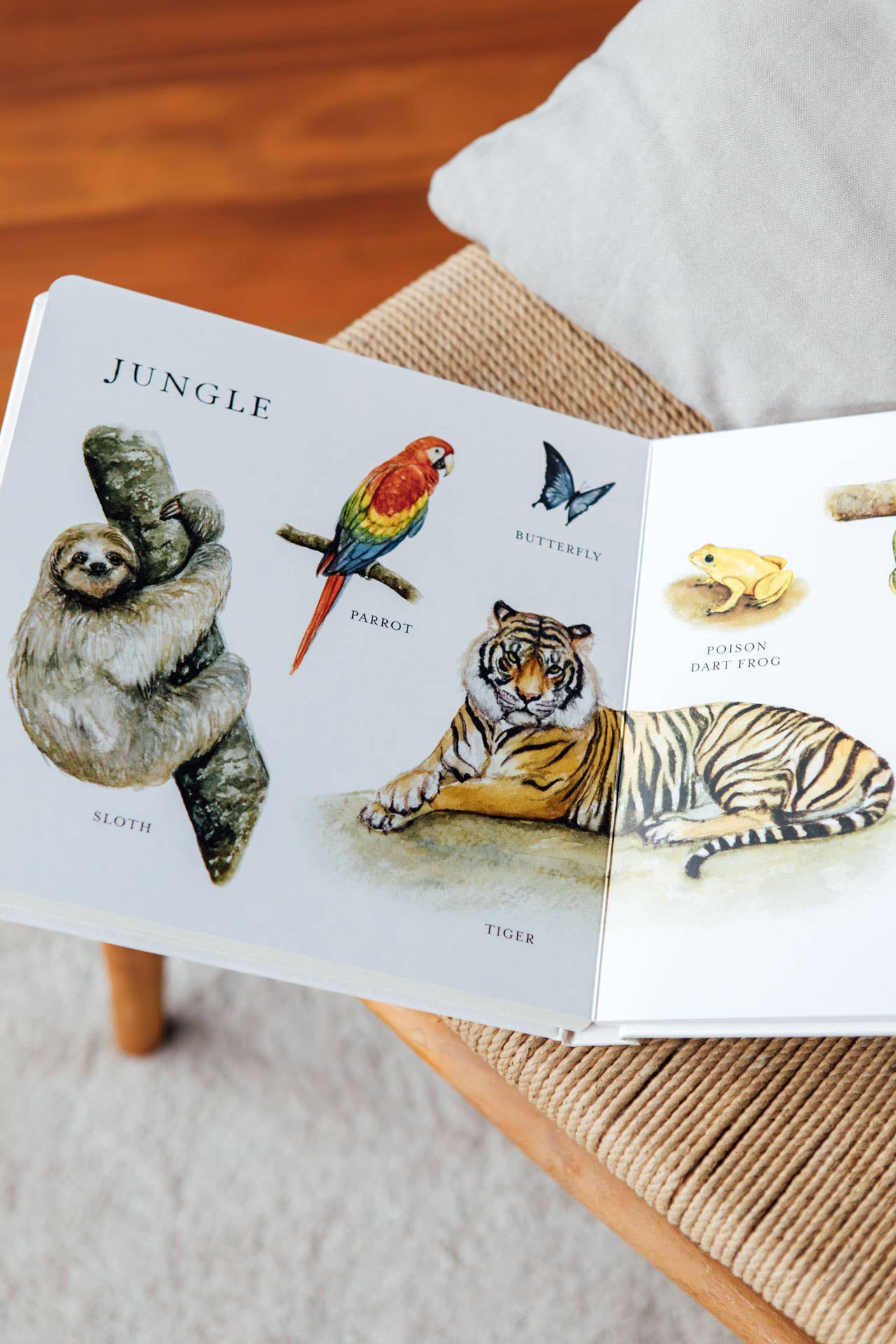 Paige Tate & Co. Our Big Book of Animals (Board Book)