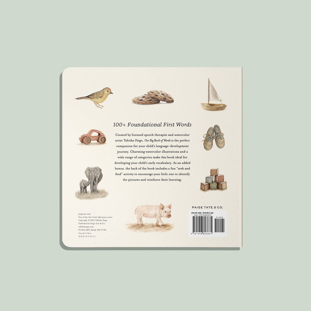 Paige Tate & Co. Our Big Book of First Words (Board Book)