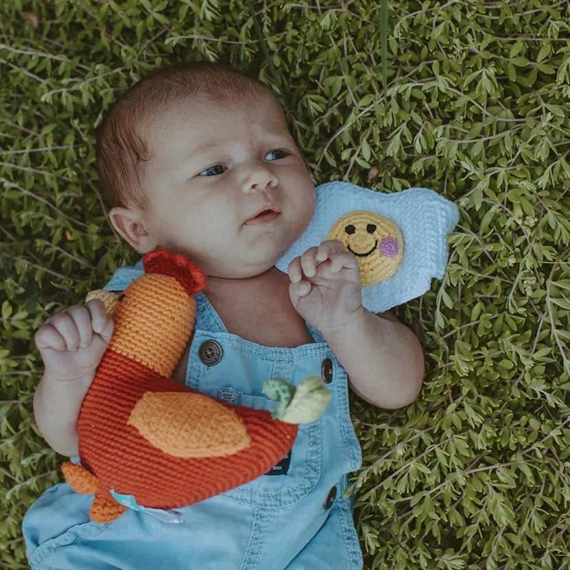 The Baby Blanket Store Stuffed Animal Red Rooster | Handmade Organic Cotton Stuffed Animal with Gentle Rattle